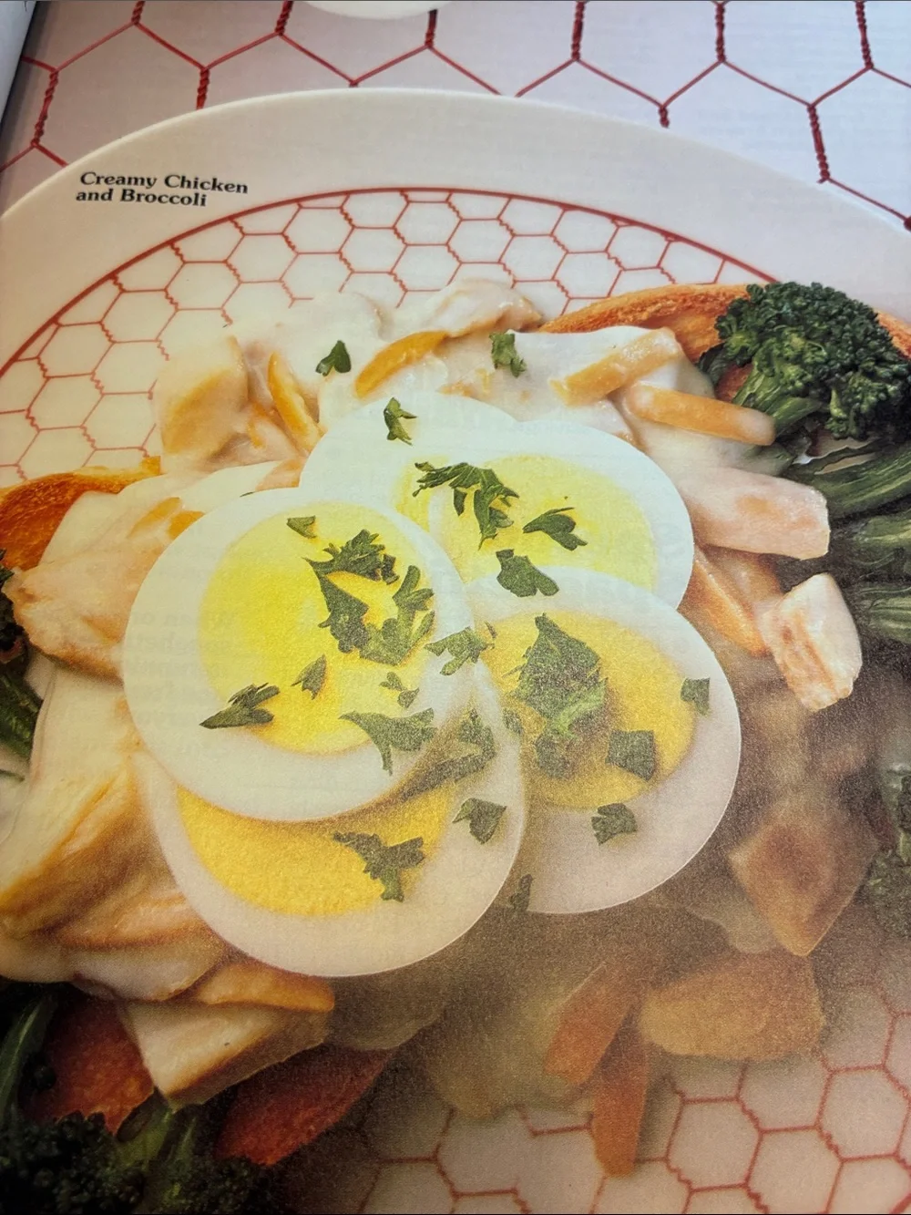 Better Homes & Gardens 5-Ingredient Meals Fast Fixin chicken magazine cookbooks